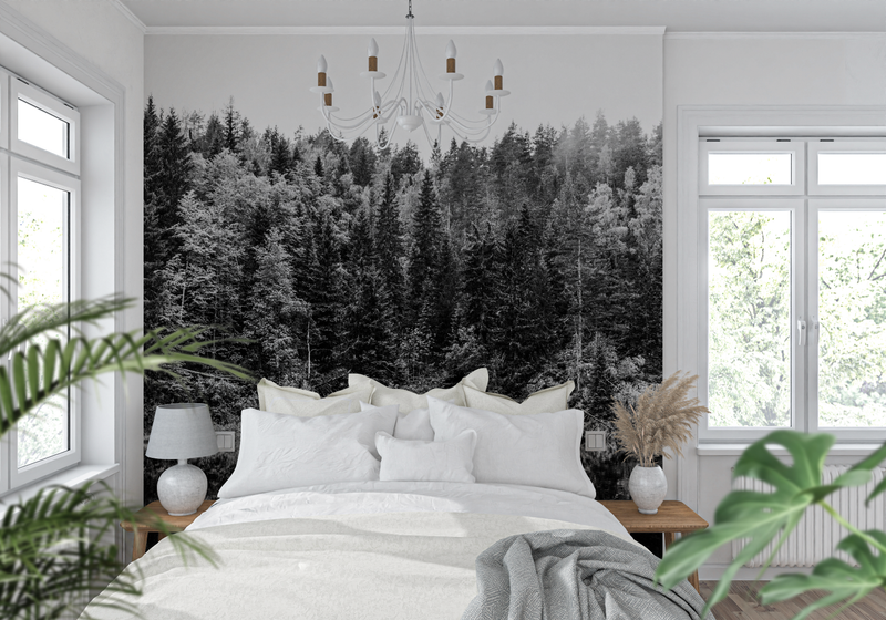 Papier Peint Forêt Noir - tendance mur