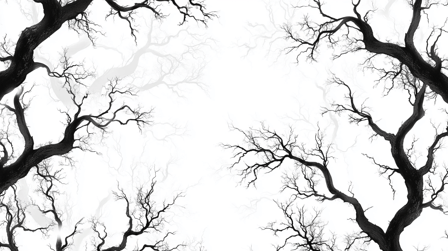Papier Peint Arbre Noir Et Banc