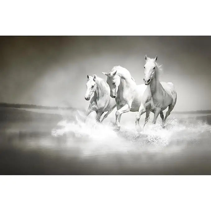 Black and white horses wallpaper