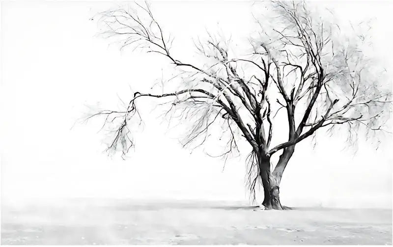 Black and White Tree Wallpaper