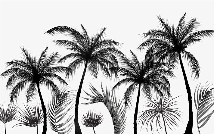 Black and white panoramic wallpaper trees